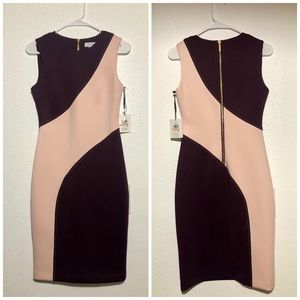 Calvin Klein Bodycon Colorblock Sheath Dress Sz 2